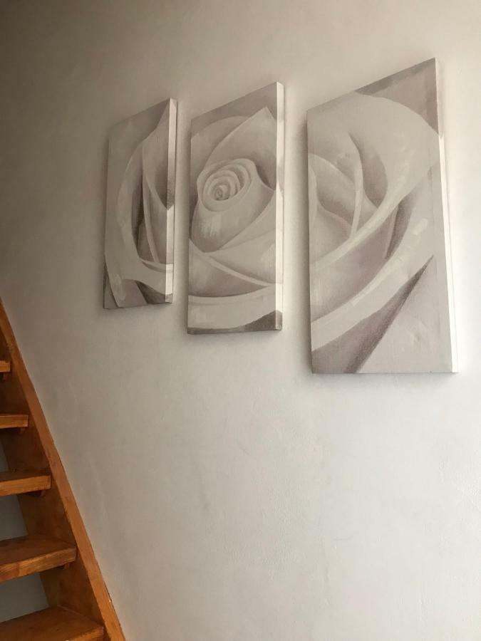 Il Nido - Cozy Studio Apartment In Santa Croce Florens Exteriör bild